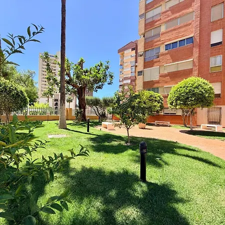 Levante Stork * Benidorm